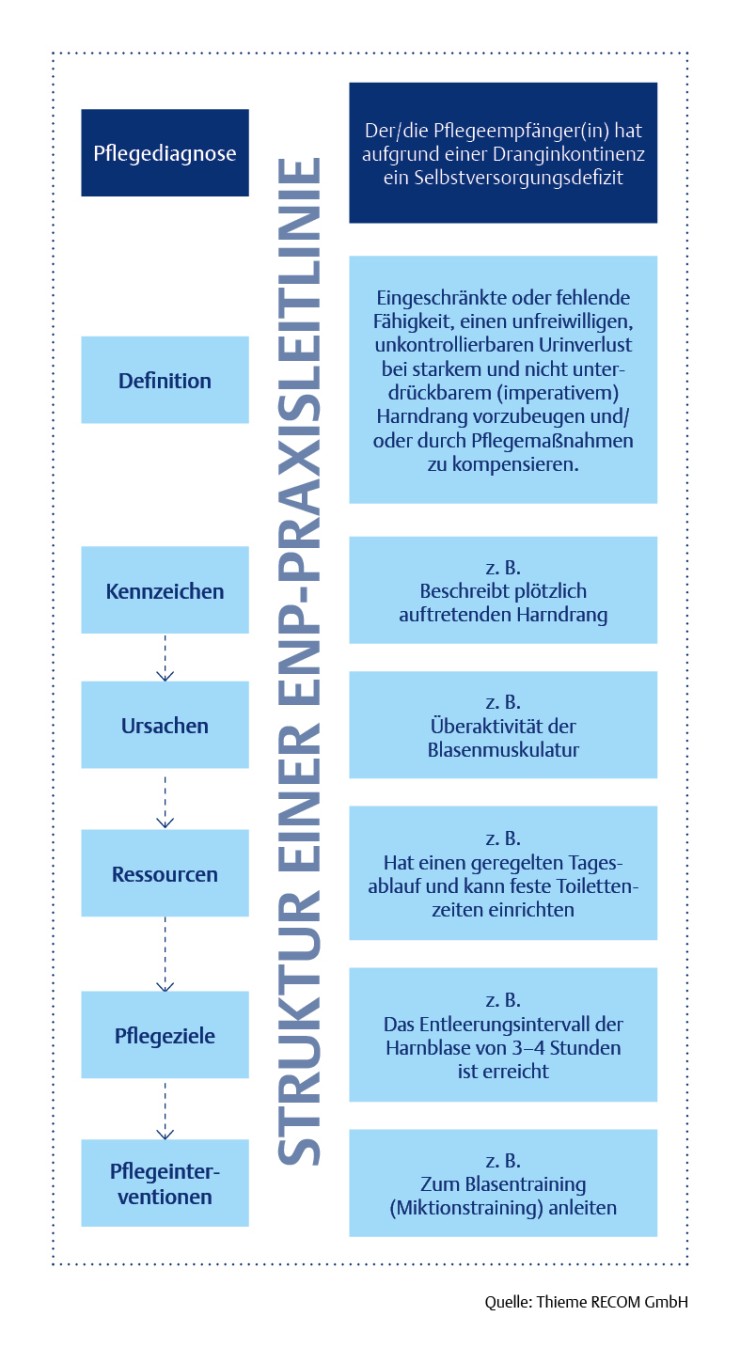 Ansicht ENP-Praxisleitlinie